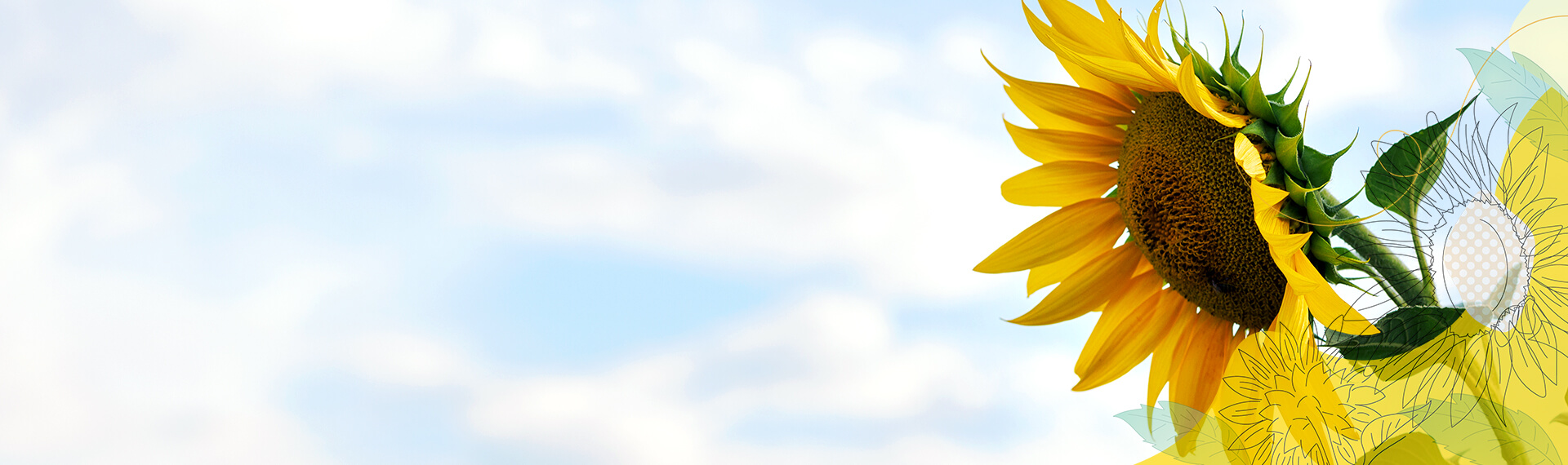 お悩み解決事例